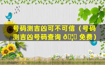 号码测吉凶可不可信（号码测吉凶号码查询 🦋 免费）